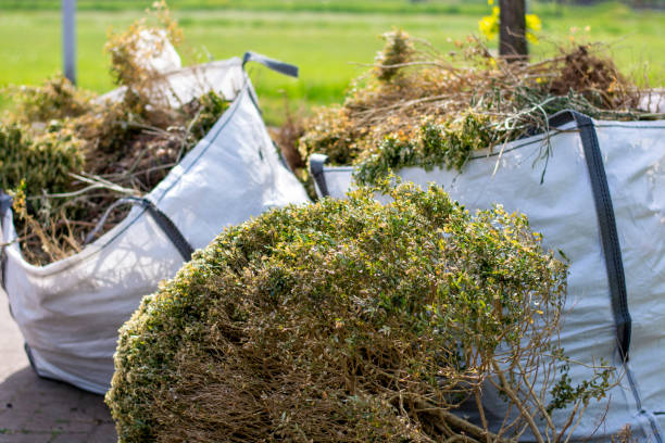 Shed Removal in Big Bear City, CA